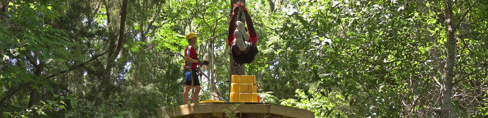 tree top canopy tour