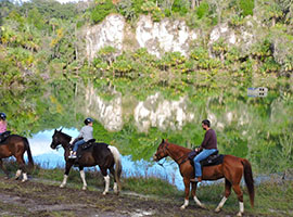 Horseback Tours