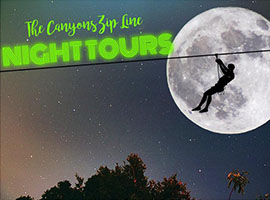 Full Moon Zip Tour