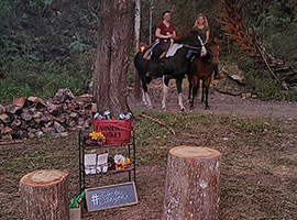 Fireside Horseback Riding